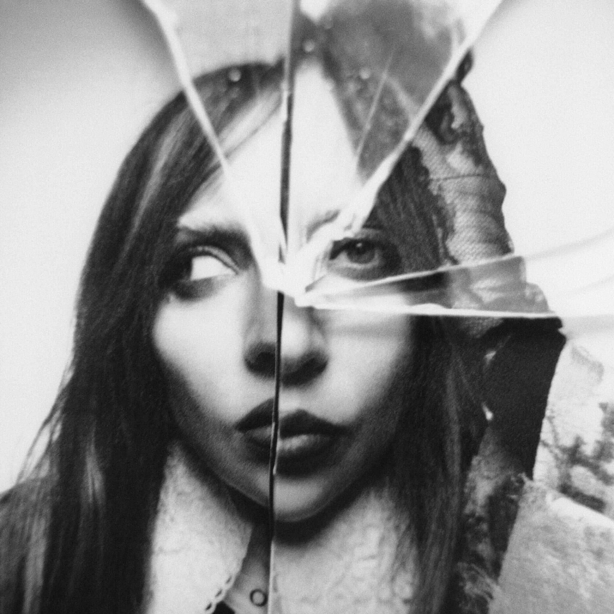 Translation missing: de.Lady Gaga - Plastic Books: Lady Gaga