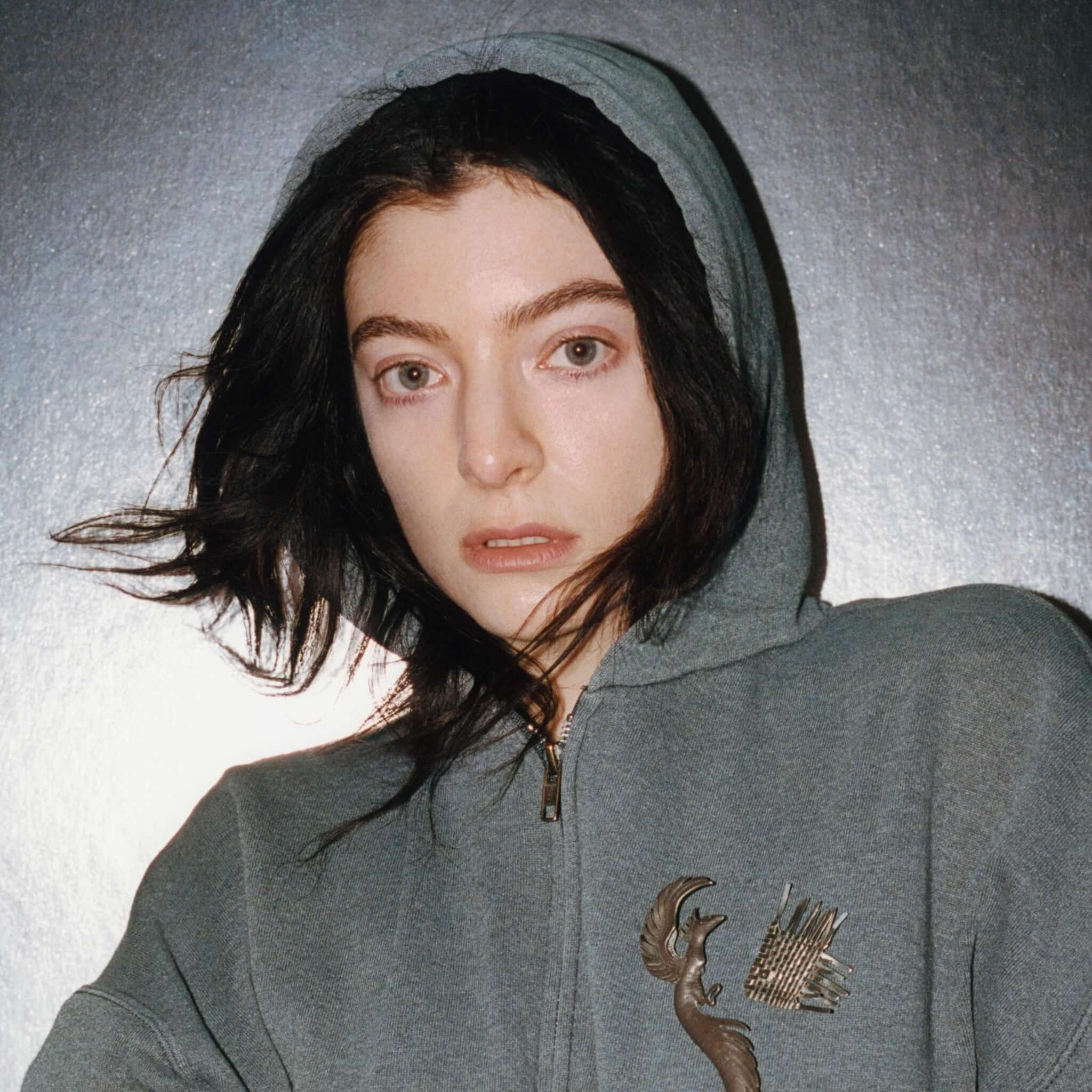 Translation missing: de.Lorde - Plastic Books: Lorde